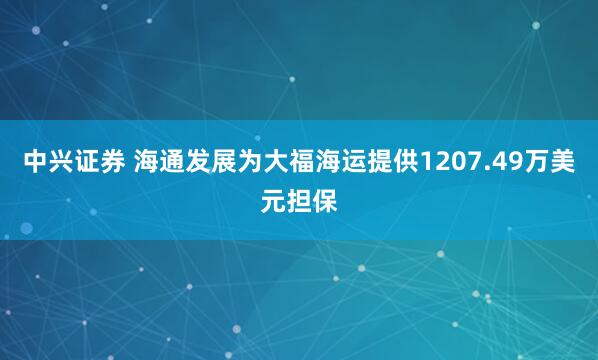 中兴证券 海通发展为大福海运提供1207.49万美元担保