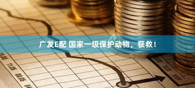广发E配 国家一级保护动物，获救！