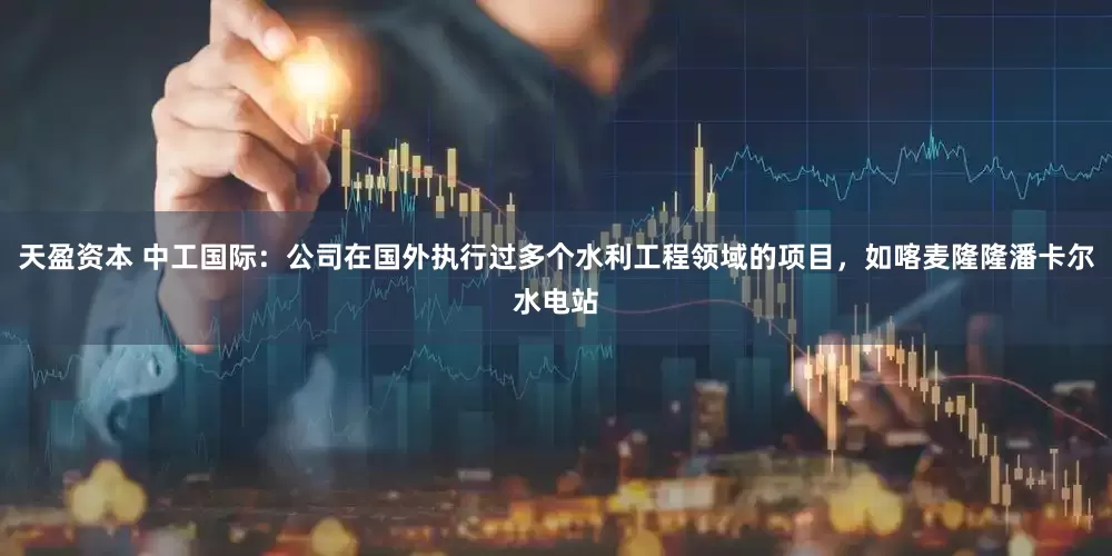 天盈资本 中工国际：公司在国外执行过多个水利工程领域的项目，如喀麦隆隆潘卡尔水电站