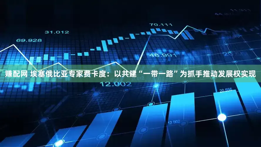 赚配网 埃塞俄比亚专家费卡度：以共建“一带一路”为抓手推动发展权实现