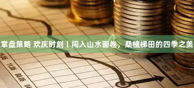 掌盘策略 欢庆时刻丨闯入山水画卷，桑植梯田的四季之美