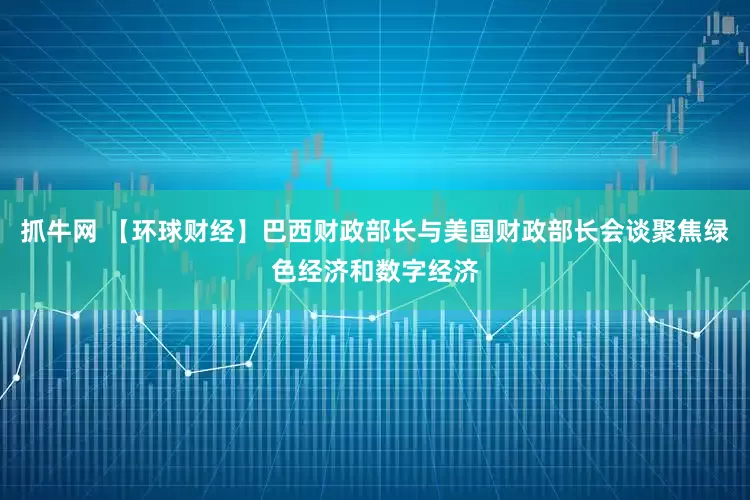 抓牛网 【环球财经】巴西财政部长与美国财政部长会谈聚焦绿色经济和数字经济