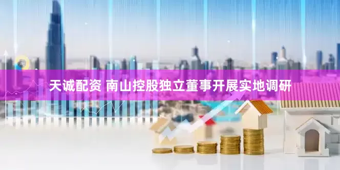 天诚配资 南山控股独立董事开展实地调研
