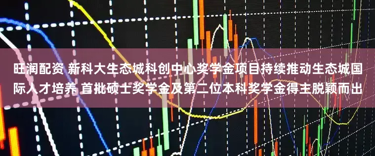 旺润配资 新科大生态城科创中心奖学金项目持续推动生态城国际人才培养 首批硕士奖学金及第二位本科奖学金得主脱颖而出