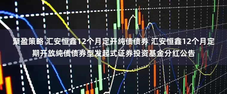 聚盈策略 汇安恒鑫12个月定开纯债债券 汇安恒鑫12个月定期开放纯债债券型发起式证券投资基金分红公告